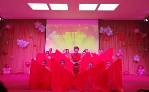 新交流 心融合 南陽醫專國際文化交流周文藝晚會精彩回顧