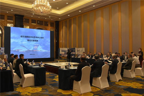 哈爾濱新區文化藝術中心項目建設邁出重要步伐 規劃設計招標圓滿完成，文化藝術交流活動蓄勢待發